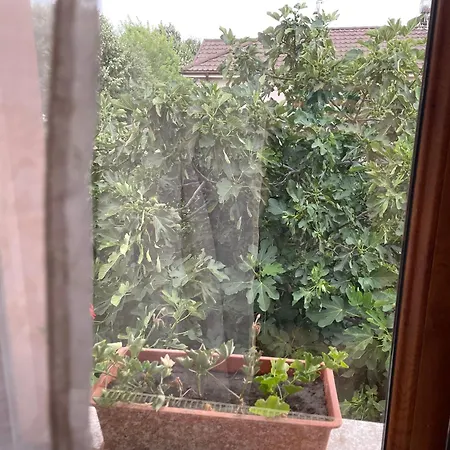 Guest house Carla 3*